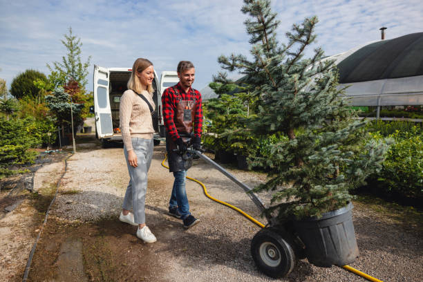  Blue Hills, CT Tree Services Pros